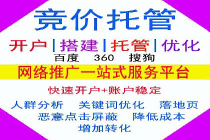 专业SEM托管，案例分析效果显著